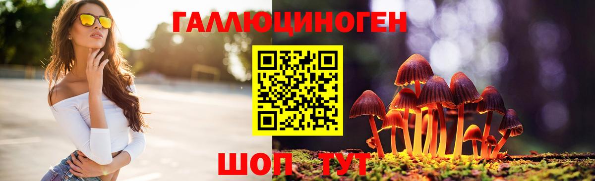 купить   Галлюциногенные грибы мицелий  Галлюциногенные грибы мицелий  Вход с VPN  Великие Луки 